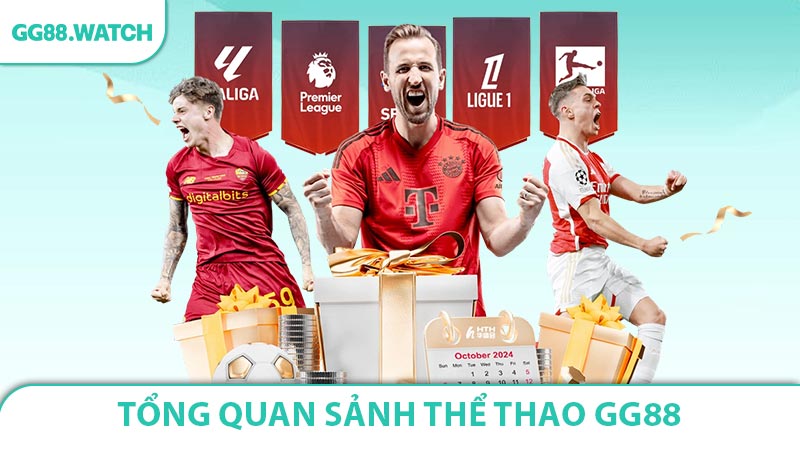 Tổng Quan Sảnh Thể Thao GG88